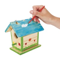 Kit de maison d'oiseau en bois pour enfants et adolescents, bricolage, peinture, bricolage