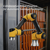 Bras de robot collaboratif de magasin d'armoires de cuisine de vente chaude 6 axes pour le bras de robot commercial