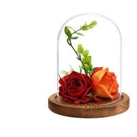 Cloche en verre à motif uni de style nordique avec base en bois naturel pour la préservation florale et la décoration de table