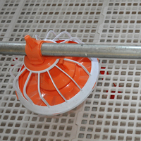 Meilleur équipement complet pour ferme avicole Projet de ligne d'alimentation pour volaille Système d'élevage automatique de poulets de chair