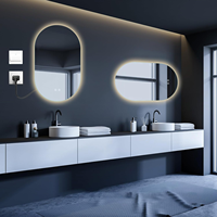 Miroir de vanité de salle de bains LED rétroéclairé sans cadre avec lumière intelligente anti-buée fonction de mémoire étanche conception ovale pour anniversaire
