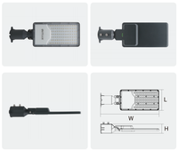 Lámpara de Calle LED para Exteriores con Certificación CE de 100W, Cuerpo de Aluminio, IP65, para Carreteras
