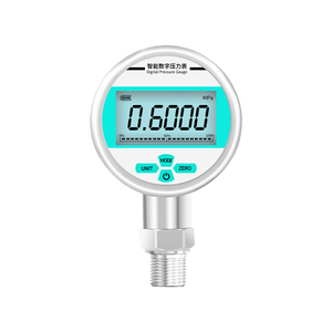 Manómetro Digital, Medidor de Presión de Aire Electrónico, Vacuómetro, Medidor de Presión de Aceite, Neumáticos, Hidráulica, Agua - Product Image 1
