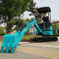 Mini-excavatrice RIPPA R322L, petite pelle sur chenilles avec moteur Kubota, micro-excavatrice, matériel de terrassement