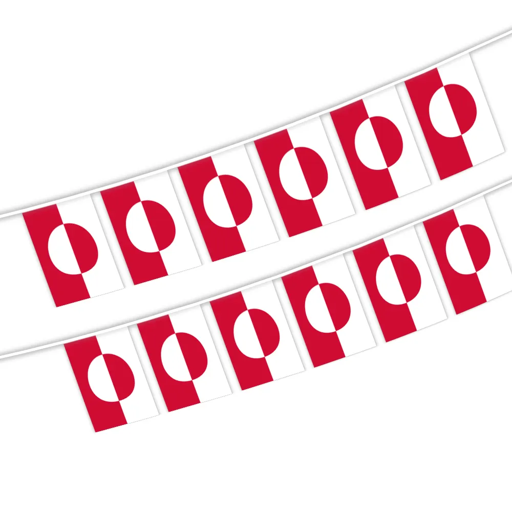 Venta al por mayor 5,5x8 pulgadas de Groenlandia de banderas del empavesado para de interior y al aire libre decoración (20 unids/set)