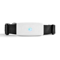 Le plus petit traceur GPS étanche en plastique au monde pour animaux de compagnie, suivi en temps réel GPRS/GSM/AGPS/Beidou, collier pour chien et chat TK911 TKStar