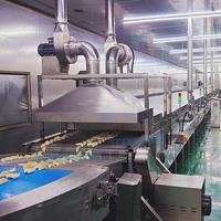 Ligne de production automatique de momos et de raviolis, machine industrielle de cuisson continue à la vapeur pour aliments