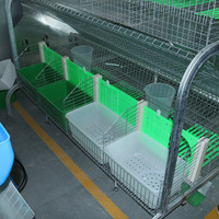 Cages d'Élevage Commerciales pour Lapins