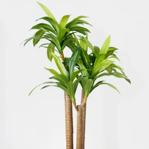 Gerçek dokunmatik Dracaena Fragrans simülasyon bitki 3 kutuplu 135CM Bonsai standı yapay ağaçlar