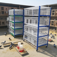 Cage d'élevage de pigeons de haute qualité à 4 niveaux en acier galvanisé robuste, grande capacité, pour équipement d'élevage commercial de pigeons