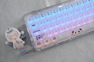 2025 Hỗ Trợ Đa Ngôn Ngữ RGB Đèn Nền 15 Ánh Sáng Sáng Sáng PC Trong Suốt Keycaps Panda Tùy Chỉnh Chơi Game Cơ Khí Keycaps - Product Image 4