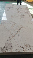 Panneau mural en placage de bois de charbon de bambou, effet marbre, imperméable, pour salon ou hôtel