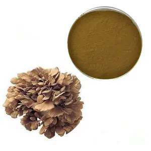 Saf doğal sıcak satış <span class=keywords><strong>Maitake</strong></span> mantar özü tozu 30% polisakkarit (Griver Grifola) - Product Image 1