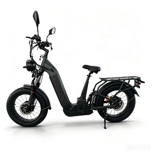 Scooter Todoterreno para Adultos, 20 Pulgadas, Neumáticos Anchos, EEC, con Suspensión, KCES018 - Product Image 1