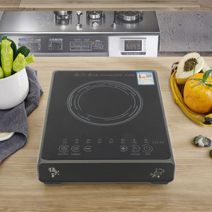 Protection contre la surchauffe et la combustion à <span class=keywords><strong>sec</strong></span> du poê<span class=keywords><strong>le</strong></span> électrique à chauffage rapide de haute qualité pour la maison et l'hôtel - Product Image 4