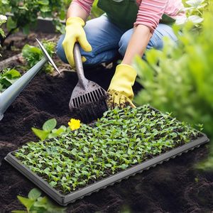 Khay ươm cây giống nhựa dùng trong nhà kính nông nghiệp, chậu trồng cây, khay gieo hạt 21 32 50 72 105 128 ô - Product Image 6