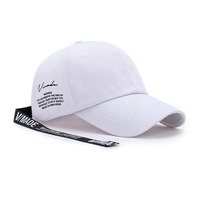Casquette de Baseball avec longue queue pour homme, étiquette privée de styliste, personnalisé, Hip Pop Boy, mode sport, rappeur de sport, tendance,