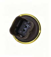 Vente Flash : Capteur de Température du Liquide de Refroidissement pour Véhicules MINI/Peugeot/Citroën 1.6L (Références : 1338F8, 96566364, 13627535068, 9810048680, 1338F3)