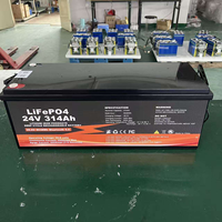 Stock UE PL 12V 24V 48V 100Ah 200Ah 300Ah 400Ah 600Ah Batteries LiFePO4 à décharge profonde pour panneaux solaires, stockage d'énergie domestique, avec BMS intelligent, DDP, modèles séparés