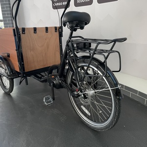 Gia Đình Điện <span class=keywords><strong>3</strong></span> Bánh Xe Đạp Chở Hàng Xe Đạp Di Động Bàn Đạp Assis <span class=keywords><strong>Nexus</strong></span> Bánh Gia Đình Hàng Hóa Hợp Kim Khung Xe Đạp - Product Image 5