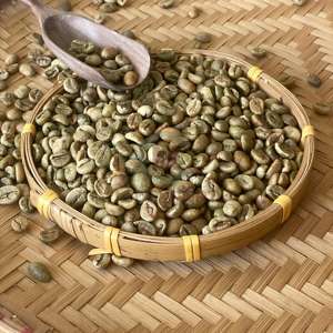Tamaño de pantalla de alta calidad 18 Vietnam Arabica Granos de café verde Sabor natural puro Exportación a granel 24 meses Vida útil - Product Image 6
