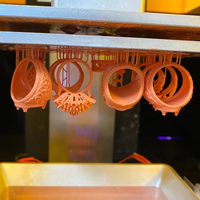 Keramik Suhu Tinggi 3D Pencetakan UV Resin untuk Perhiasan Karet Silikon Vulkanisir Modul Cetakan Salinan Profesional