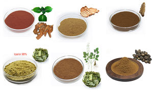 サポニン,真天然食品サポニン,8% 売れ筋元Zhi天然野生性多面体根エキス粉末 - Product Image 6