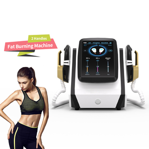 Máquina Profesional de Escultura Muscular Tesla EMS-Neo con Certificación CE e Indicador de Escritorio para Detección Cutánea en Clínicas - Product Image 2