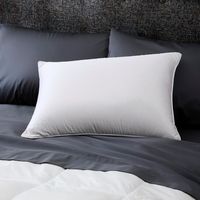 Oreiller Moderne en Plumes de Canard Blanches, Housse 100% Coton, Doux, Moelleux, Confortable, Soutien pour le Sommeil, Anti-Acariens, Anti-Boulochage, Literie