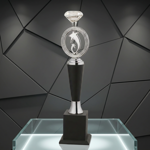 Trophée métallique étoile pour écoles, universités, institutions - Métal moulé sous pression gravé au laser, portable, pour récompenses des meilleurs performants et des employés - Product Image 1