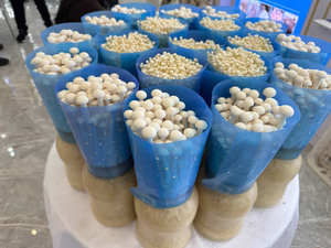 Conteneurs de culture de champignons multi-tailles pour la production de diverses espèces de champignons - Product Image 4