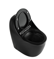 WC monobloc noir moderne de luxe en céramique à double chasse, à fermeture lente, à poser au sol, pour hôtels et hôpitaux, siphon en S
