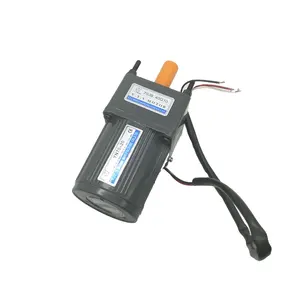 YN70-10 220v 10w Mini motor mit hohem Drehmoment 70mm Rahmen größe Wechselstrom motor