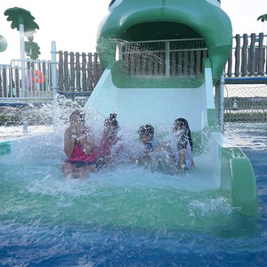 Solución Integral para Parques Acuáticos Comerciales para Niños |   Conjunto de Equipos Personalizados para Toboganes de Agua y Piscinas de Chapoteo con Diseño de Dibujos Animados - Product Image 4