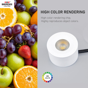 Berdis 38 ° Spot Lighting Flicker-free Aluminio RoHS Ip54 Downlight Spotlight 3W Led Gabinete Luz para Display - Product Image 6