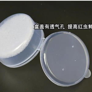 Caja de cebo redonda transparente Jiang Zhong Xin, contenedor portátil de plástico para gusanos vivos con esponja para aparejos de pesca - Product Image 3