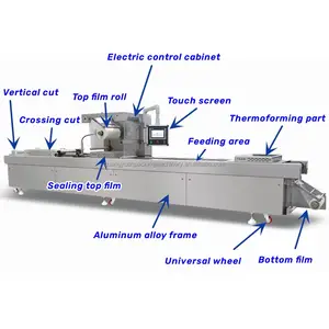 Su dolum sistemi ile tam otomatik PVDC PVDE malzeme Prune tarihleri termoform vakum paketleme makinesi