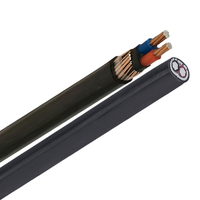 Cable XLPE de cobre eléctrico de 600V y 1000V, Cable concéntrico aislado de PVC 2x6 2x4 2x10 2x16 2x6 + 1x8 AWG para construcción aérea
