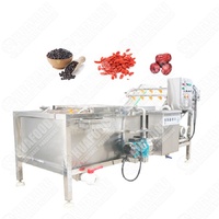 Machine à laver entièrement automatique Câpres Feuilles de basilic Feuille de manioc Nettoyage à bulles