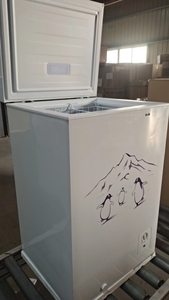 Refrigeración confiable de <span class=keywords><strong>bajo</strong></span> <span class=keywords><strong>consumo</strong></span> de energí<span class=keywords><strong>a</strong></span> para áreas remotas 12V Congelador de arcón solar de tamaño pequeño 50L en Mali - Product Image 4