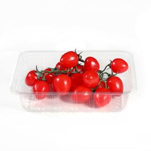 Cajas de embalaje de plástico transparente Biodegradable, ecológicas, desechables, para mascotas, bandeja de plástico para fruta - Product Image 1