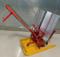 Planteuse de riz manuelle mini haute efficacité à 2 rangs avec engrenage central, machine à repiquer pour une productivité élevée