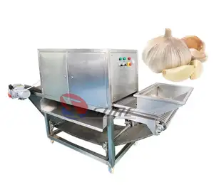 Mesin pengupas kulit bawang putih, mesin industri pengupas bawang putih jenis rantai