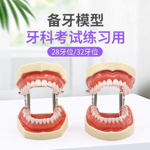 Modèle anatomique d'éducation bucco-dentaire, modèle de gencive souple détachable pour la pratique de la préparation dentaire, modèle dentaire - Product Image 5