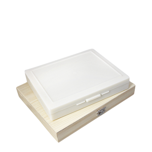 Lames de microscope préparées avec des acariens Sarcoptes adultes, spécimens de parasitologie pour l'enseignement de la biologie médicale et scientifique - Product Image 3
