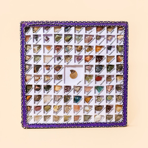 Kit de Colección de Fósiles Minerales de Roca Natural, Caja de Exhibición de Gemas y Cristales, Set Educativo de Ciencia Geológica - Product Image 1