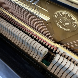 Piano Vertical YAMAHA <span class=keywords><strong>YUS</strong></span> Vintage, Original de Japón, con Respaldo en Forma de X, Tapa de Abeto Sólido, Tono Cálido - Product Image 4