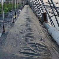 Couverture de sol en tissu pour paysage agricole et jardinage Barrière contre les mauvaises herbes pour serre Tapis contre les mauvaises herbes pour arbre fruitier