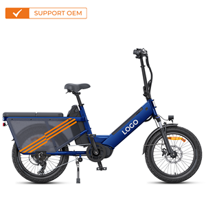 2025 Elektrische Bakfiets <span class=keywords><strong>200Kg</strong></span> Laadvermogen 48V 250W Middenaandrijving Motor 180Km Bereik 20 Inch Elektrische Hybride Fiets Stad Ebike Bici Familie - Product Image 1