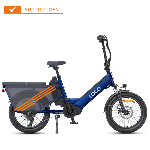 2025 Electric Cargo Bike 200kg Payload 48V 250W Mid-drive Motor 180km Range 20in Electric Hybrid Bicycle City EBike Bici Family